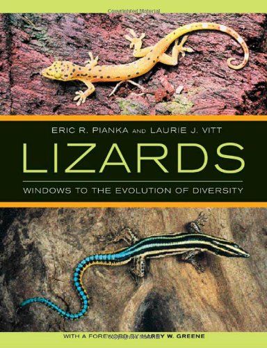 Lizards: Windows To The Evolution Of Diversity