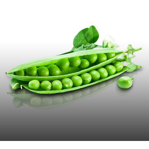 Lot De 450 Grammes De Graines À Semer - Le Grenier D'abondance - Semis Du Mois De Mars - Fève - Pois - 6 Sachets Individuels
