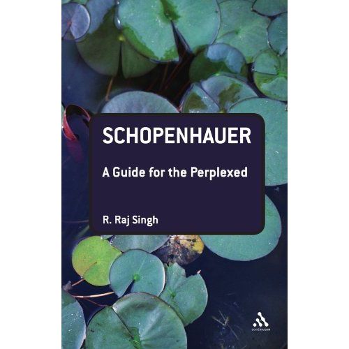 Schopenhauer: A Guide For The Perplexed