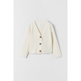 Gilet En Maille Côtelée (Zara)
