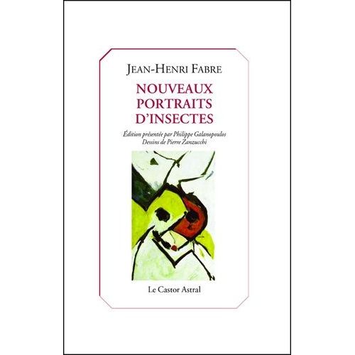 Nouveaux Portraits D'insectes