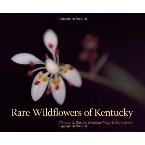 Rare Wildflowers Of Kentucky
