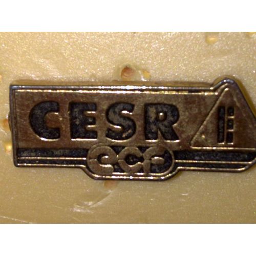 Pin's Ecole De Conduite Français (Ecf)