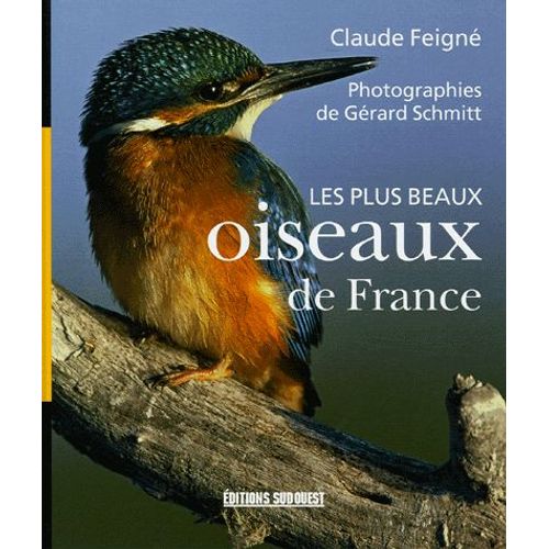 Les Plus Beaux Oiseaux De France