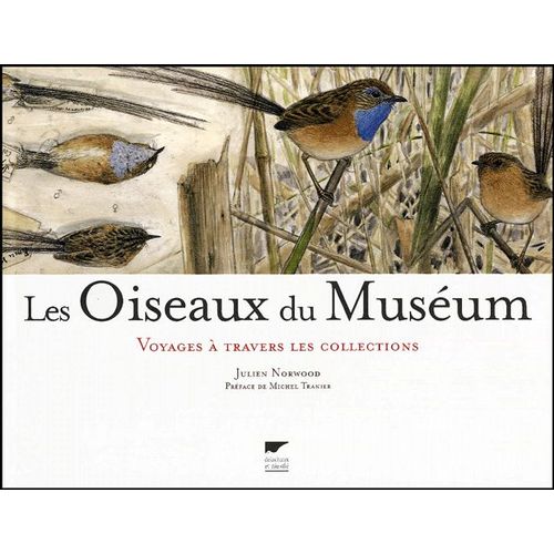 Les Oiseaux Du Muséum - Voyages À Travers Les Collections
