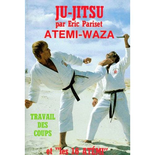 Atemi-Waza - Travail Des Coups Et "Les 16 Atémi