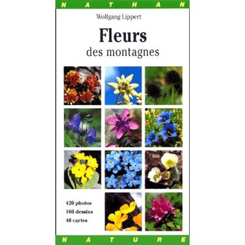 Gros Plan Sur Les Fleurs Des Montagnes