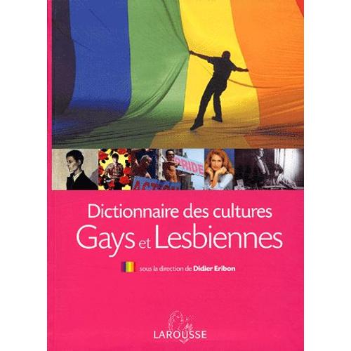Dictionnaire Des Cultures Gays Et Lesbiennes