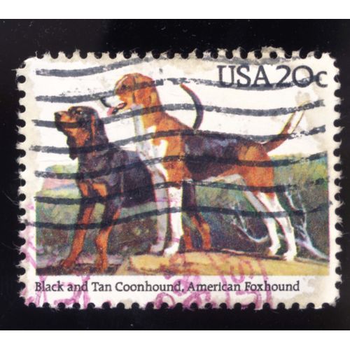 Timbre U S A, Black And Tan Coonhound, American Foxhound, U S A  20 Cents, Oblitéré En 1985