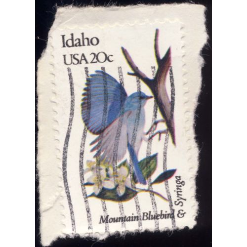 Timbre U S A, Idaho, Mountain Bluebird & Syringa, U S A 20cents, Oblitéré