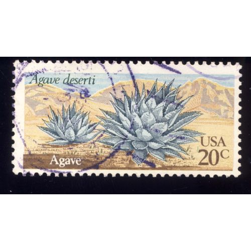Timbre U S A, Agave Deserti, Agave, U S A 20 Cents, Oblitéré