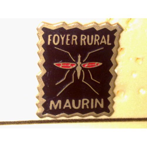 Pin's Foyer Rural De Maurin
