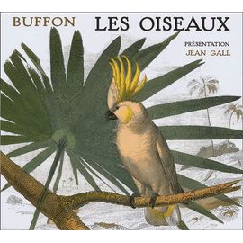 Les Oiseaux