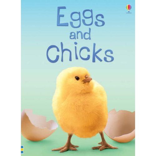 Eggs And Chicks