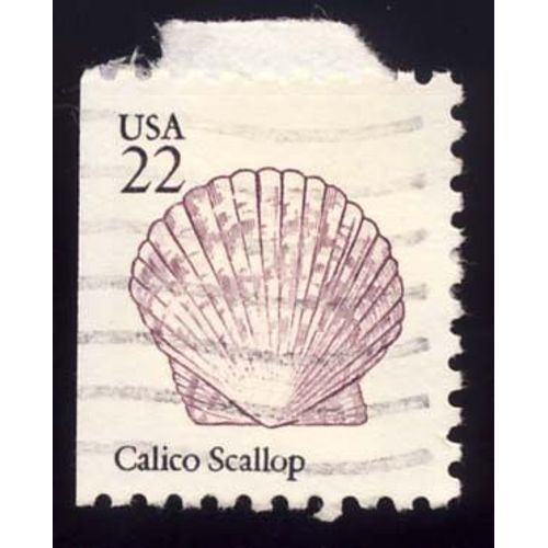 Timbre U S A, Calico Scallop, U S A 22 Cents, Oblitéré