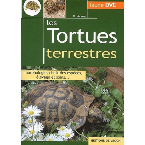 Les Tortues Terrestres