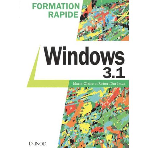 Windows 3.1