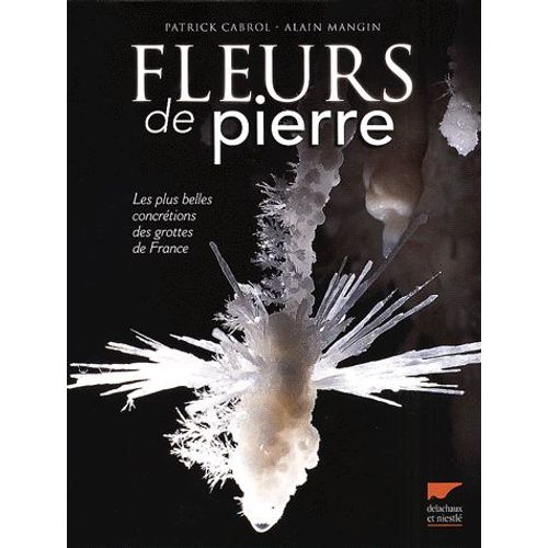 Fleurs De Pierre - Les Plus Belles Concrétions Des Grottes De France