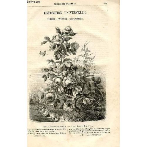 Le Musée Des Familles - Lecture Du Soir - Deuxième Série - Livraisons N°45 Et 46 - Exposition Universlele - Fleurs, Paysage, Orfèvrerie