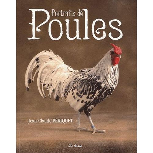 Portraits De Poules