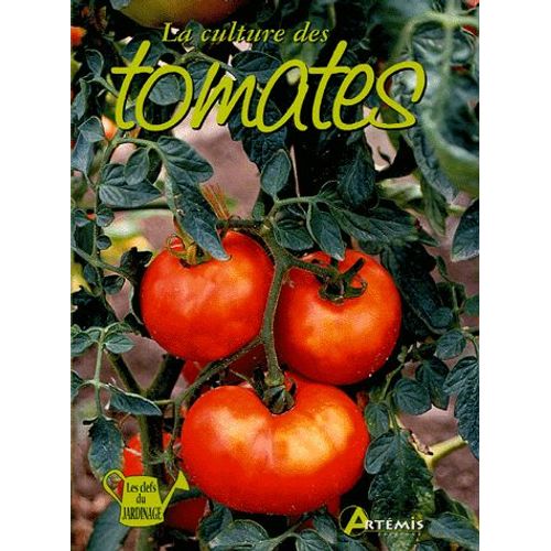 La Culture Des Tomates