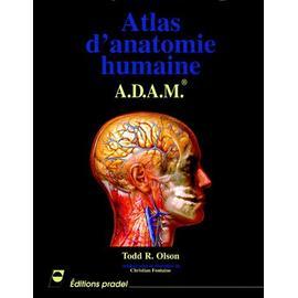 Atlas Netter d'anatomie humaine