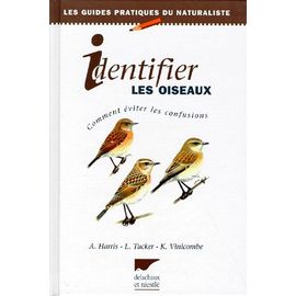 Identifier Les Oiseaux - Comment Éviter Les Confusions