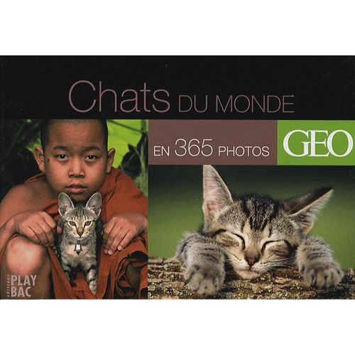 Chats Du Monde En 365 Photos