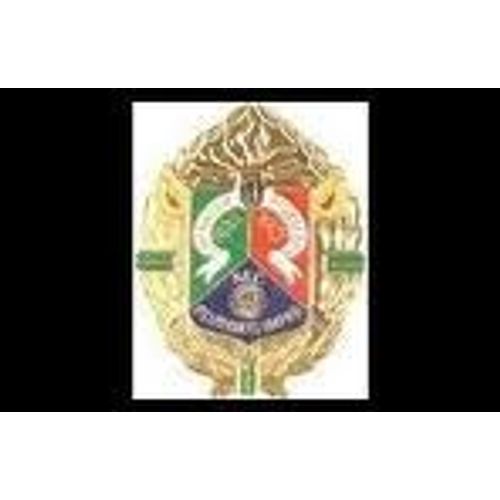Réplique Insigne 1er Regiment Etranger De Cavalerie (Rec)
