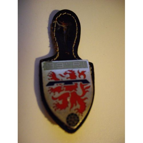Insigne 99 Ème Ri