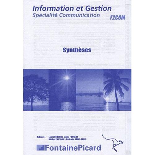 Information Et Gestion Spécialité Communication - Synthèses