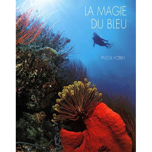 La Magie Du Bleu