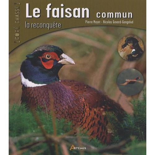 Le Faisan Commun - La Reconquête