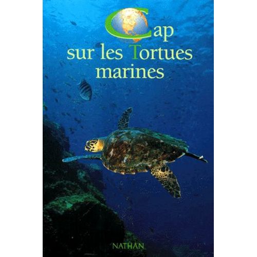 Cap Sur Les Tortues Marines