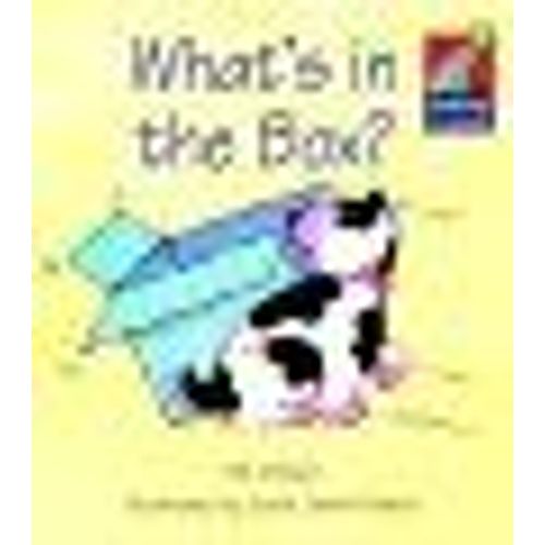 What' S In The Box? -Cambridge Storybooks (Gillham/Bill)