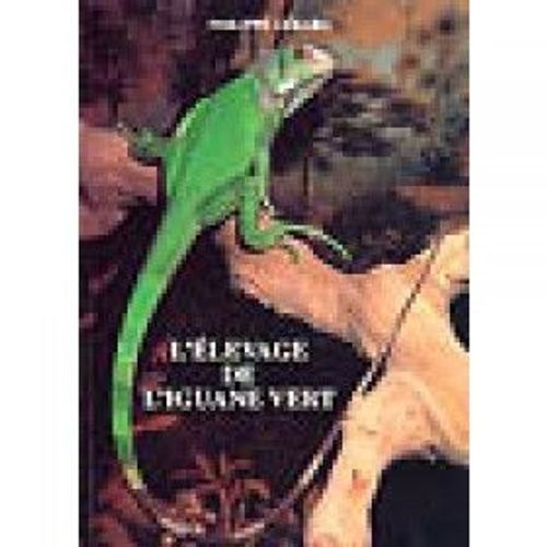 L'élevage De L'iguane Vert