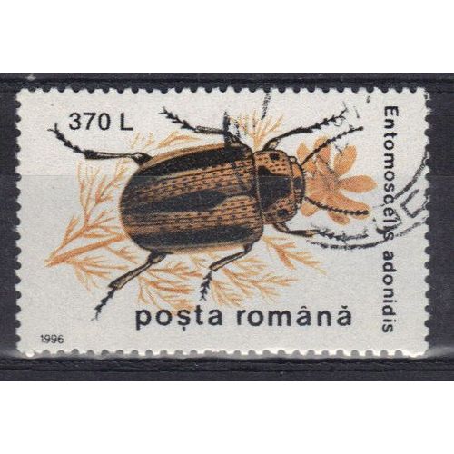 Roumanie 1996 : Insecte - Timbre Oblitéré
