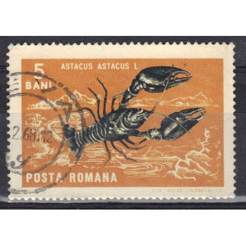 Roumanie 1966 : Crustacé : Astacus - Timbre Oblitéré