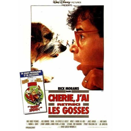 Cherie, J'ai Rétreci Les Gosses - Affiche Originale De Cinéma - Format 120x160 - De Joe Johnston Avec Rick Moranis, Matt Frewer, Marcia Strassman, Kristine Sutherland - Année 1990