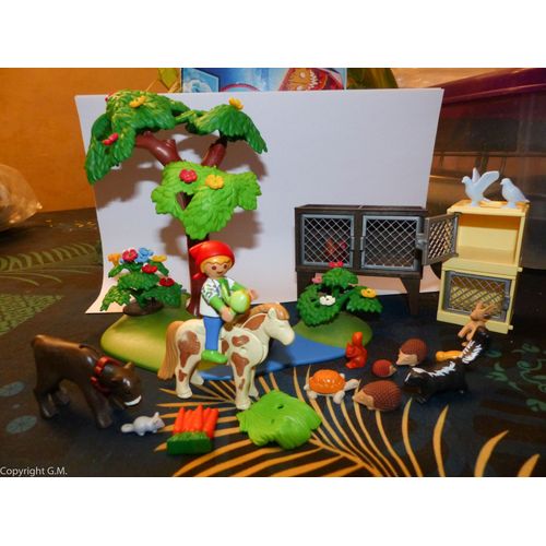 Lot Playmobils Ferme Et Animaux