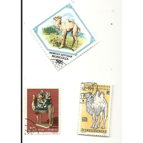Chameaux 3 Timbres 3 Pays Différents