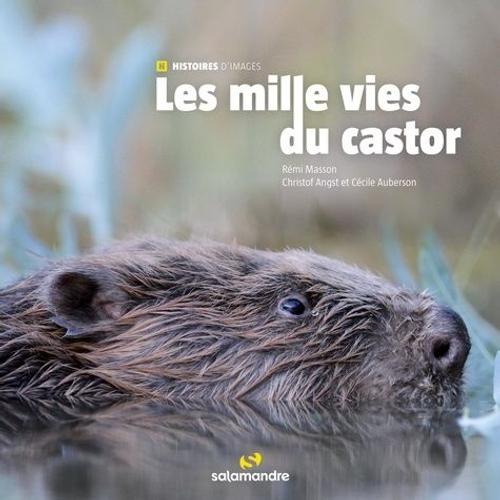 Les Milles Vies Du Castor