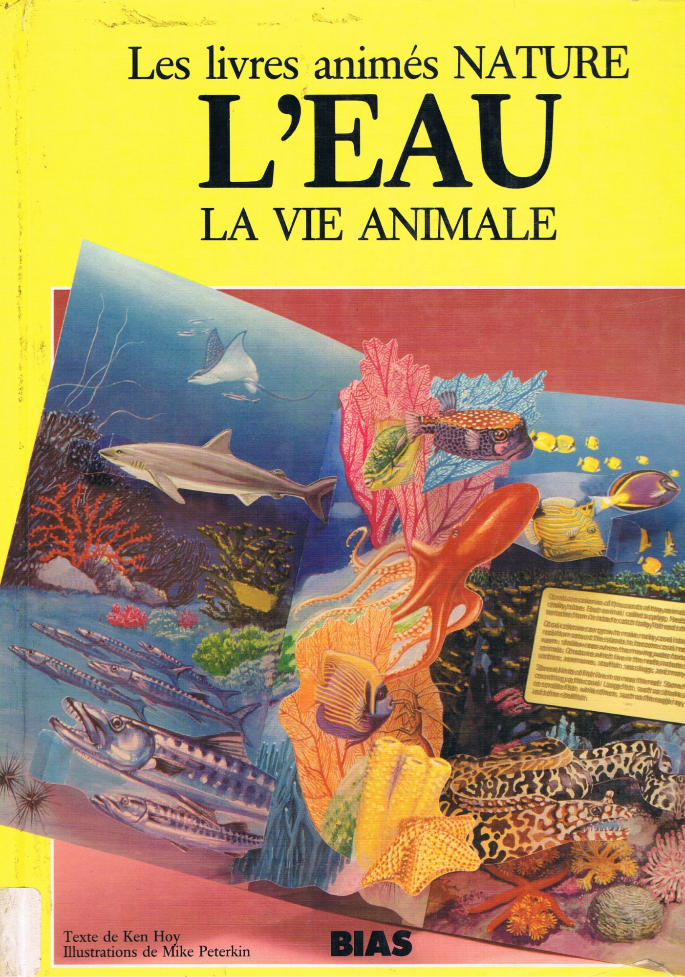 Les Livres Animés Nature: L'Eau, la Vie Animale