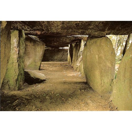 La Roche Aux Fées - Esse