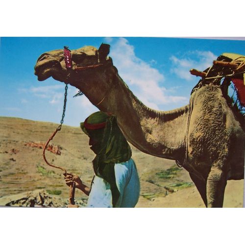 Folkore Liban Le Chamelier