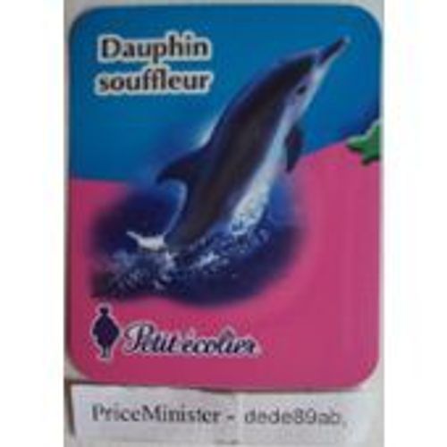 Magnet Petit Écolier Dauphin Souffleur