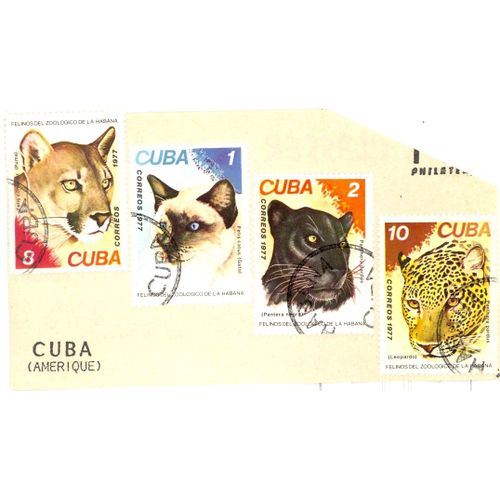 Timbres . Felins . Cuba . 1977
