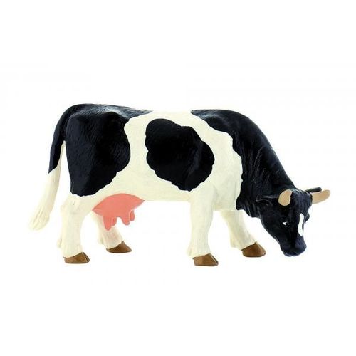 Vache Noire Et Blanche