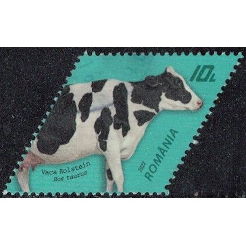 Roumanie 2022 Oblitéré Used Vache Holstein Race Bovine Y&t Ro 6697 Su