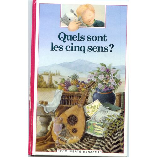 Quels Sont Les Cinq Sens ?